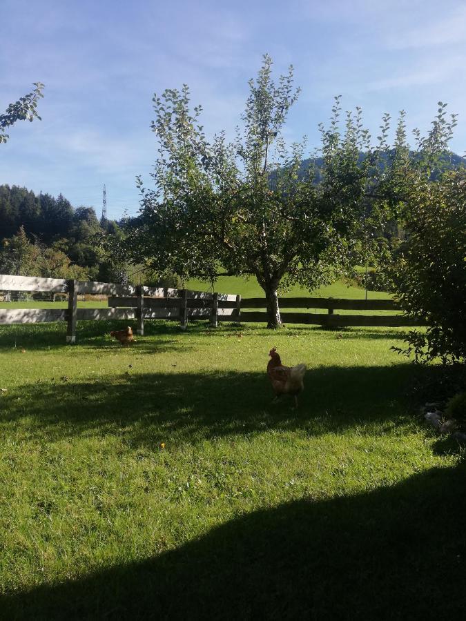 Appartamento Haus Schreder Saalfelden Esterno foto