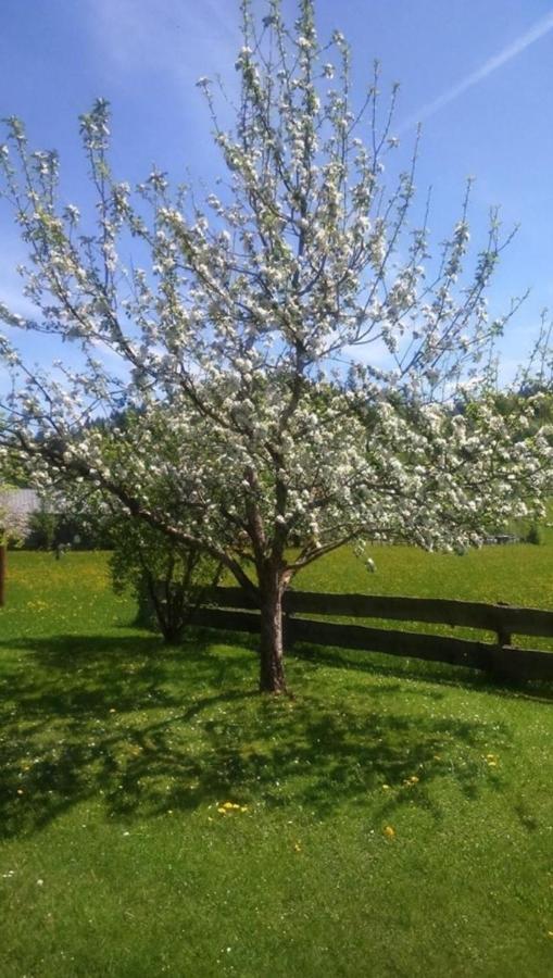 Appartamento Haus Schreder Saalfelden Esterno foto