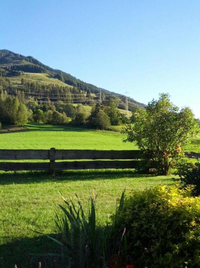Appartamento Haus Schreder Saalfelden Esterno foto