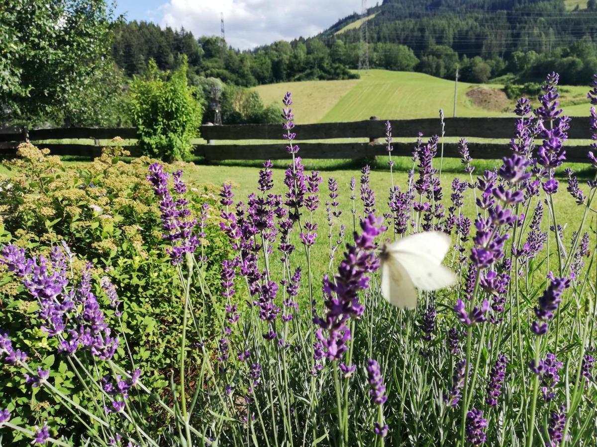 Appartamento Haus Schreder Saalfelden Esterno foto