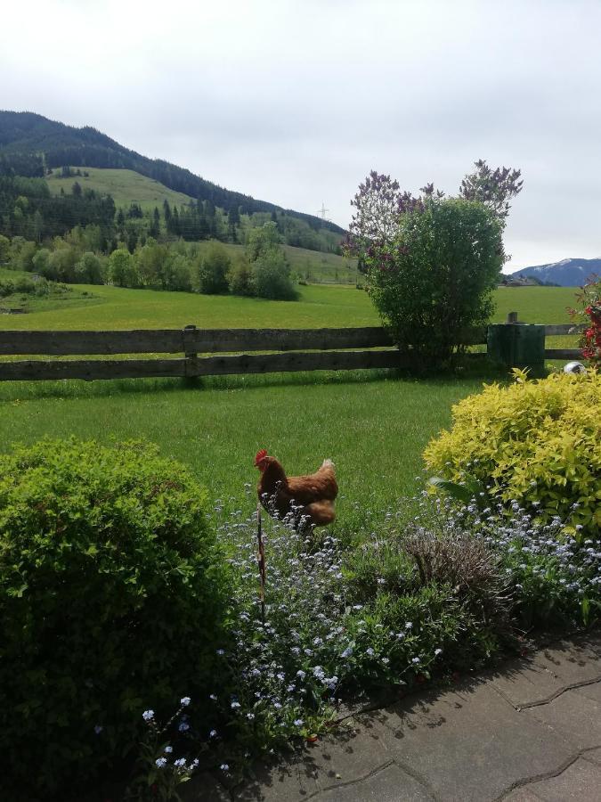 Appartamento Haus Schreder Saalfelden Esterno foto