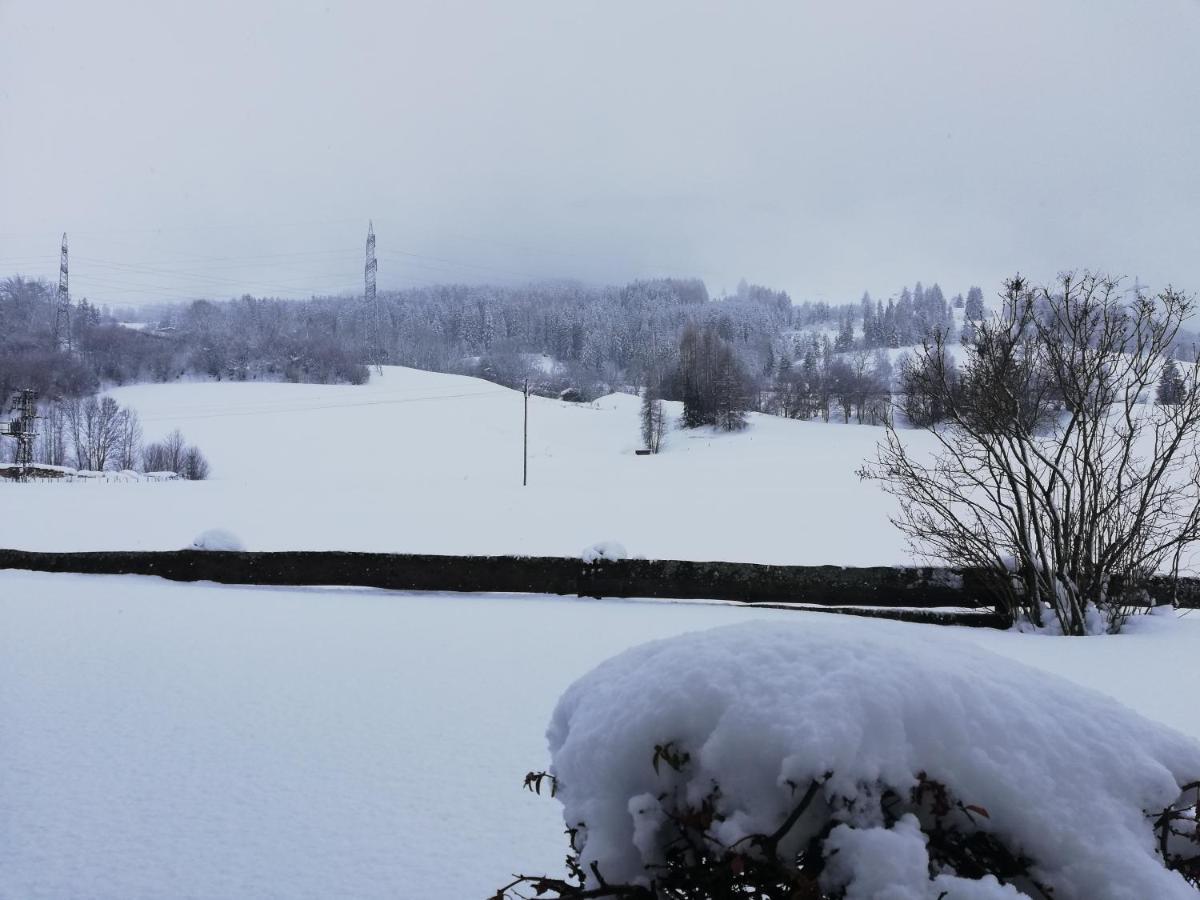 Appartamento Haus Schreder Saalfelden Esterno foto