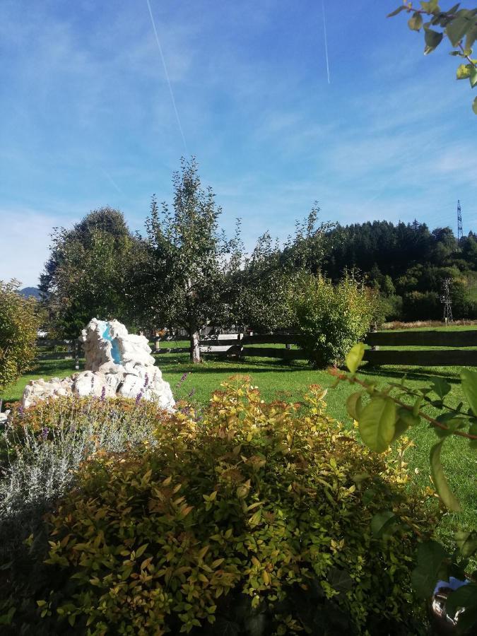 Appartamento Haus Schreder Saalfelden Esterno foto