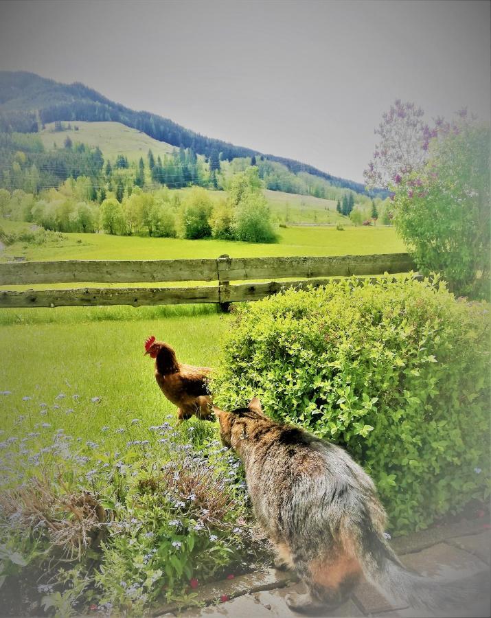Appartamento Haus Schreder Saalfelden Esterno foto